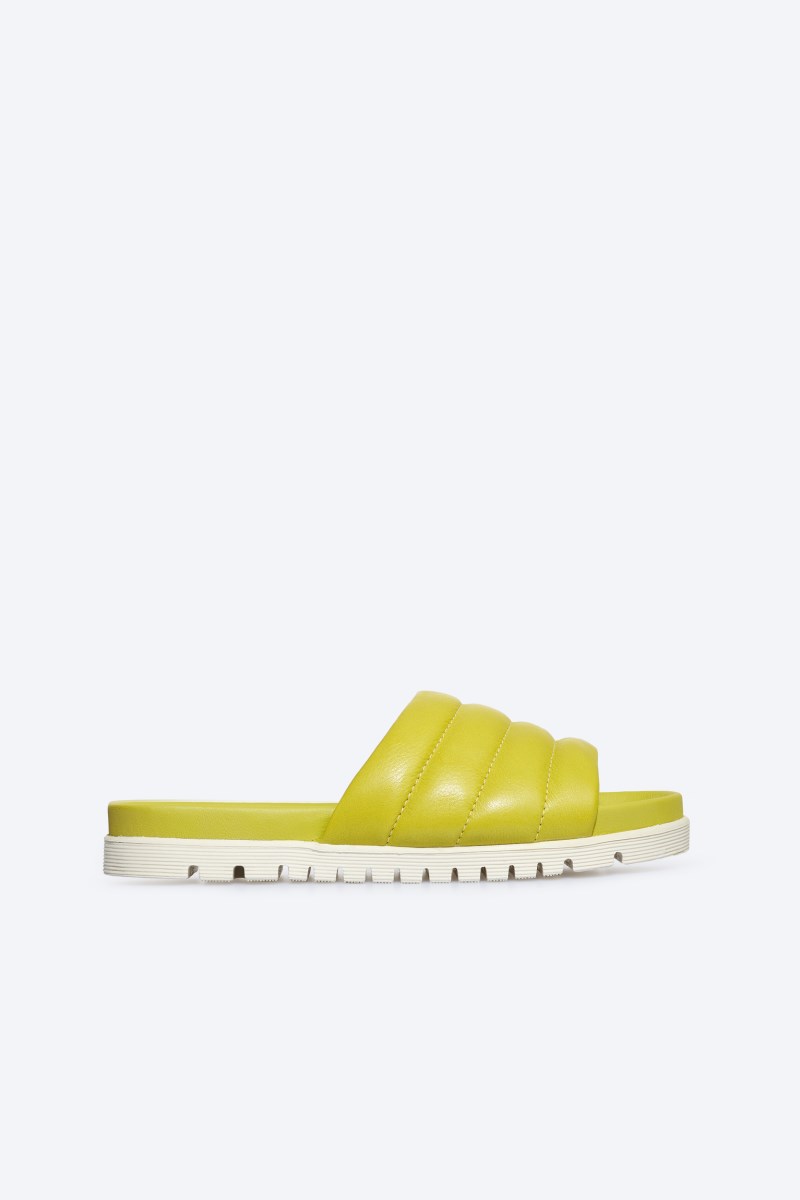 Rohde SUNNYS N°91