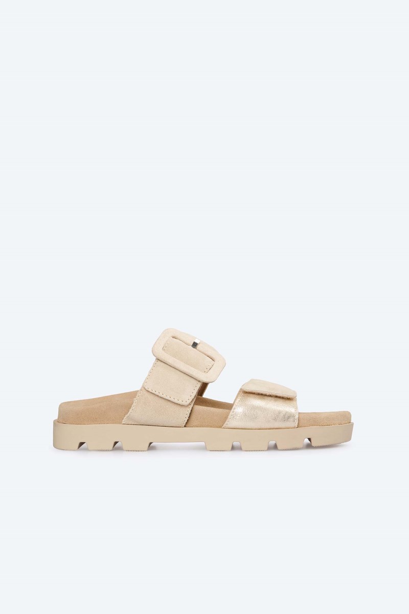 Rohde SUNNYS N°82 - Gold